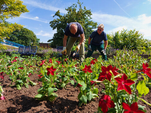 Mitarbeitende der Landeshauptstadt Magdeburg pflanzen Sommerblumen