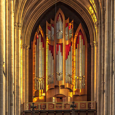 Schuke Orgel ©Evangelische Domgemeinde Magdeburg