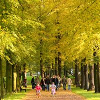Magdeburger Stadtpark in Herbststimmung
