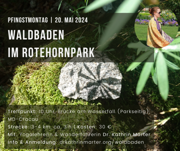 Bild vergrößern: 2024_05_20 Waldbaden Rotehornpark