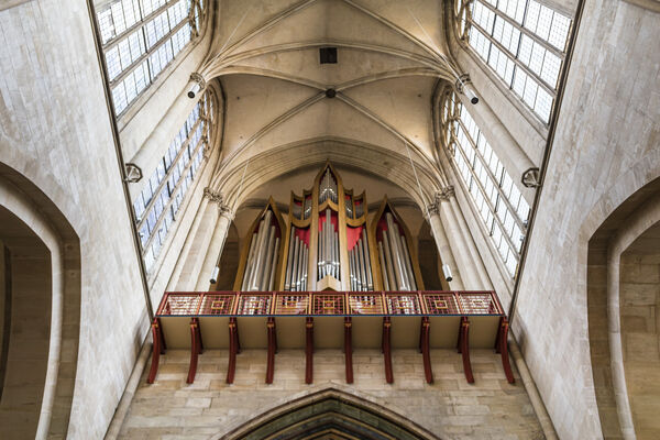 Magdeburger Dom_Max Fuchs (10)