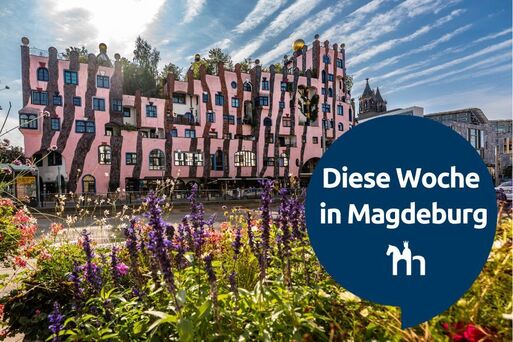 Bild vergrößern: Website Header DGDW_Mai