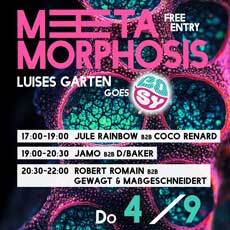 2025-09-04-Metamorphosis-caro