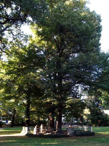 Schneiders Garten 2