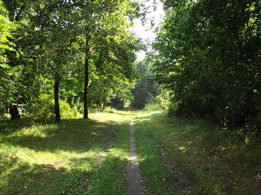 Bild vergrößern: Volkspark Westerhüsen 1