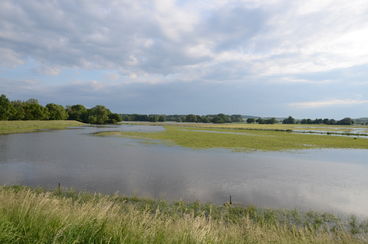 Bild vergrößern: Überschwemmungsgebiet Randau