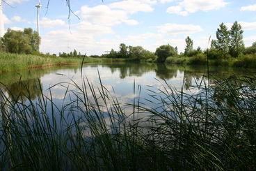 Bild vergrößern: kelterer Teich