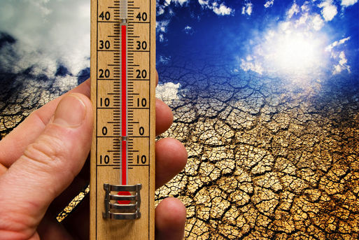 Bild vergrößern: Thermometer vor einer vertrockneten Erde