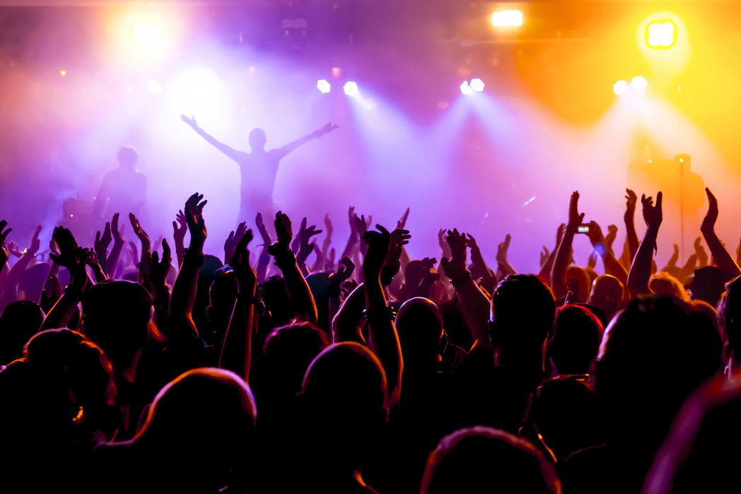 Jubelnde Konzertbesucher auf einem Konzert © DWP - Fotolia
