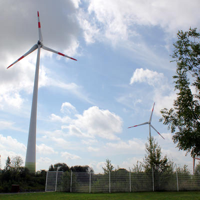 Windkraftwerk auf einer Wiese [Foto: Landeshauptstadt Magdeburg]