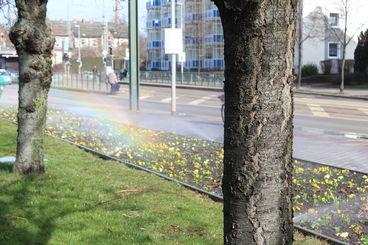 Bunte Blumen und ein Regenbogen begren den Frhling in der Lneburger Strae