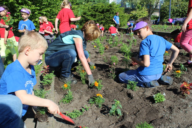 Gemeinsam mit den Mitarbeiterinnen des SFM pflanzen Zweitklssler bunte Sommerblumen