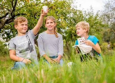 Bild vergrößern: Dienstag ist Entdeckertag im Elbauenpark