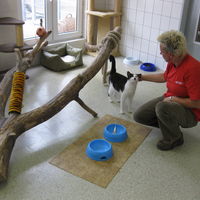 Tierpfleger/in - Fachrichtung: Tierheim und Tierpension