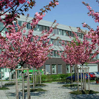 Helmholtz-Zentrum für Umweltforschung UFZ 