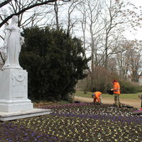 Gärtnerinnen und Gärtner des Eigenbetriebes Stadtgarten und Friedhöfe Magdeburg bei der diesjährigen Frühjahrsbepflanzung am Denkmal der Preußischen Königin Luise im Geschwister-Scholl-Park