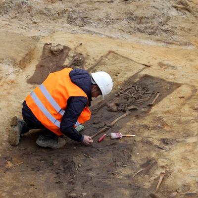 Ein Team aus den Bereichen Archäologie und Anthropologie untersucht die Überreste. 