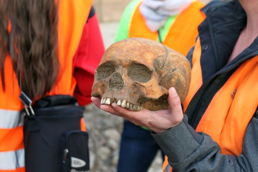 Die Grabungsleiterin Juliane Huthmann zeigt einen gefundenen Schädel. 