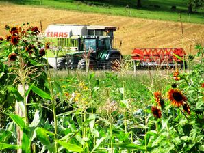 Bild vergrößern: Landwirtschaftmaschinen auf einem Feld