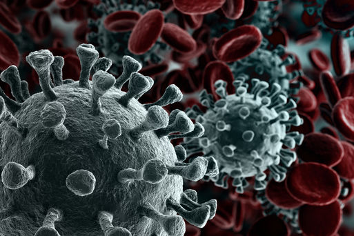 Interner Link: Coronavirus SARS-CoV-2: Fragen und Antworten