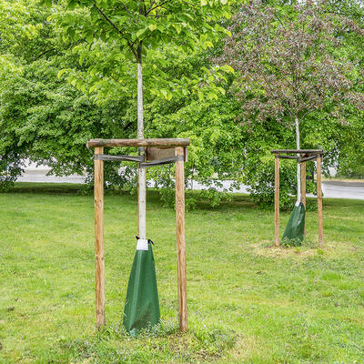 Magdeburger Baumbewässerungssystem an einem Jungbaum