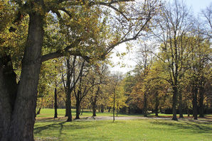 Bild vergrößern: Bäume und Wege im Magdeburger Stadtpark Rotehorn