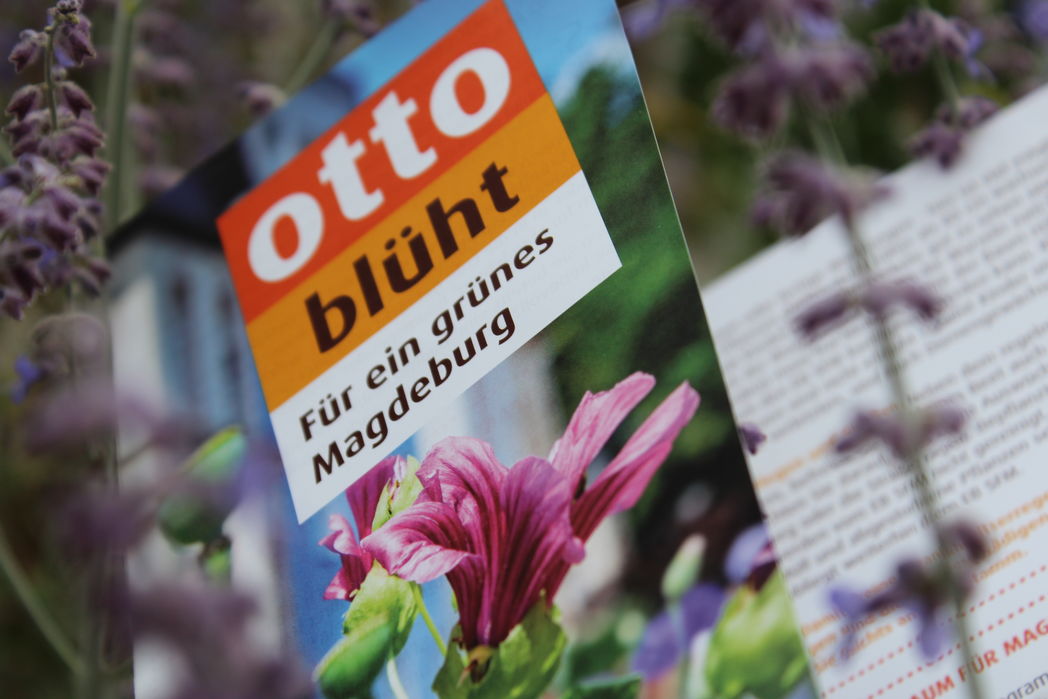 Otto Blüht - Flyer