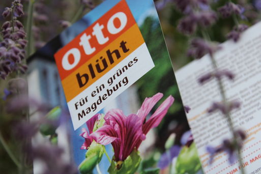 Bild vergrößern: Otto Blüht - Flyer