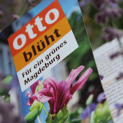 Otto Blüht - Flyer