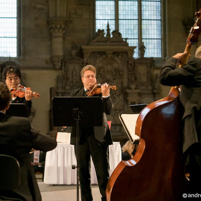 Streicher des Kammerensembles der Magdeburgischen Philharmonie