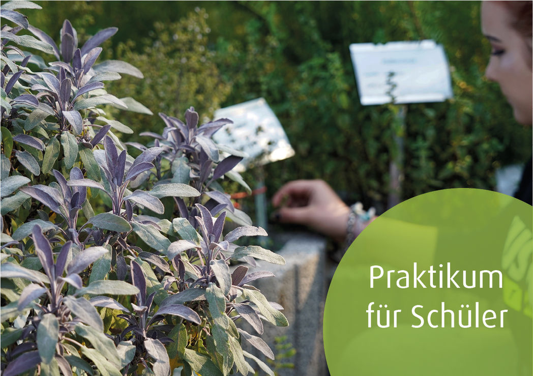 Praktikum fr Schler