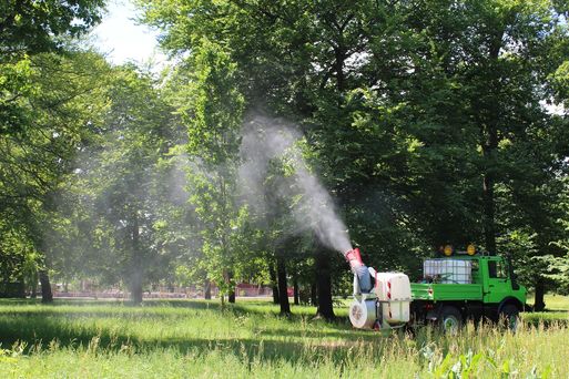 Bild vergrößern: Prventive Bekmpfung des Eichenprozessionsspinners