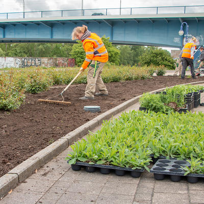 Mitarbeiterinnen der Stadt setzen Sommerpflanzen am Fahnenmonument in Magdeburg
