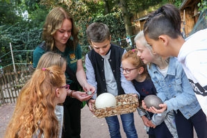 Bild vergrößern: Fhrungen im Zoo Magdeburg