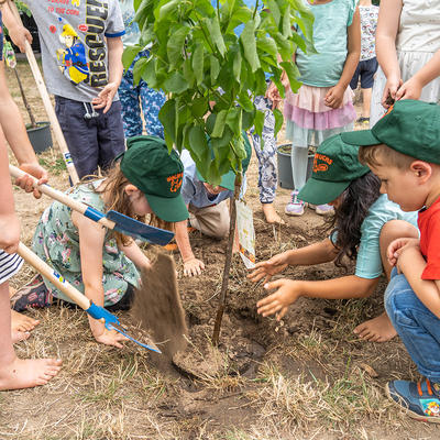 Kinder der Magdeburger Kita Wolkenschäfchen pflanzen einen Obstbaum