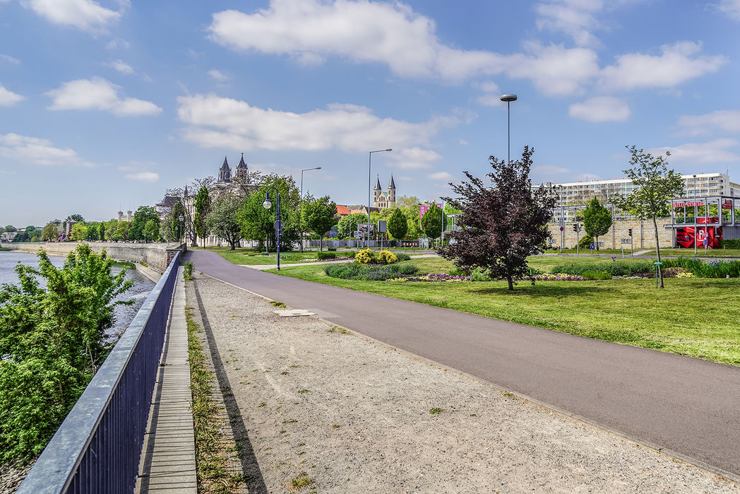 Der Rad- und Fußgängerweg am Schleinufer mit Blick zum Magdeburger Dom