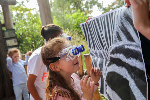Bild vergrößern: Bei einem der zahlreichen Angebote für Kinder und Jugendliche wird das Zebra genauer unter die Lupe genommen.