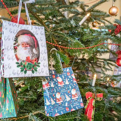 Wunschweihnachtsbaum im Rathaus Magdeburg geschmückt mit 120 Wunschzetteln