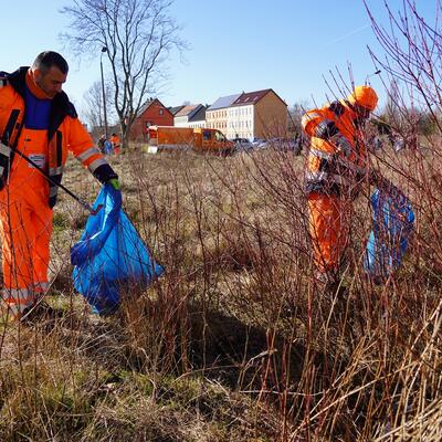 Mitarbeitende des Städtischen Abfallwirtschaftsbetriebes Magdeburg sammeln Müll