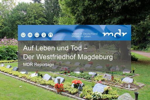 Im TV: Auf Leben und Tod - Der Westfriedhof Magdeburg