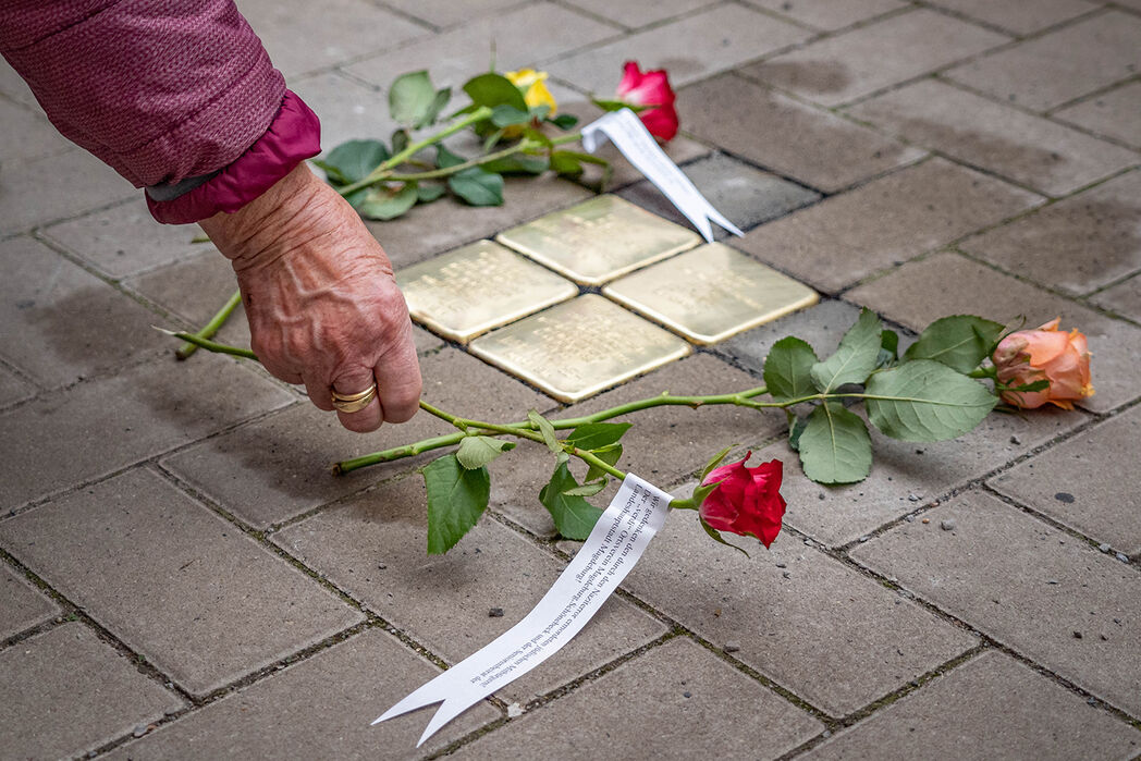 Eine Rose wird als Gedenken an einen frisch verlegten Stolperstein gelegt © Landeshauptstadt Magdeburg
