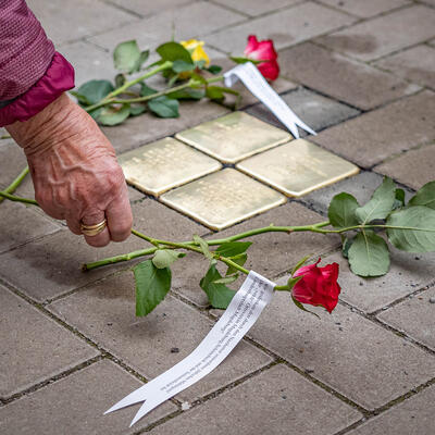 Eine Rose wird als Gedenken an einen frisch verlegten Stolperstein gelegt