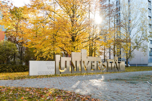 Bild vergrößern: Universität im Herbst