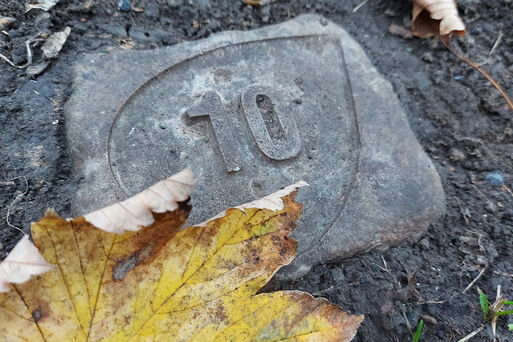 Markierung einer Grabstelle auf dem Naturgrabfeld Westfriedhof Magdeburg