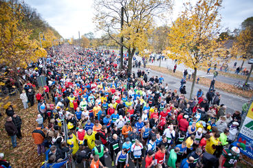 Bild vergrößern: Magdeburg Marathon