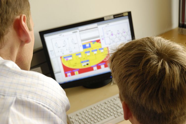 Modellierung der Vorgnge in Zellen per Computersimulation 