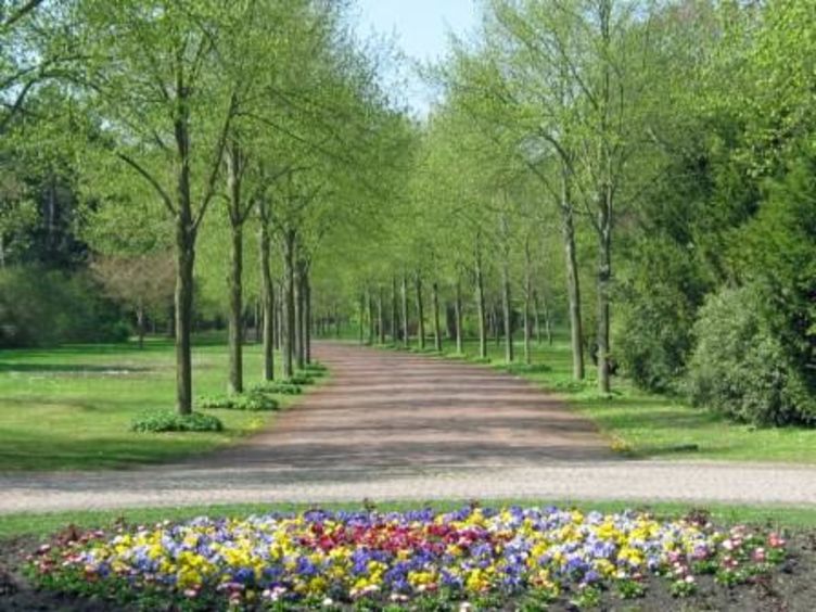 Westfriedhof_ © Peter Gurr