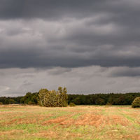 Landschaft Börde Quelle: Marco Petig pixelio.de