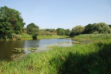 Bild vergrößern: Foto: IHU Stendal