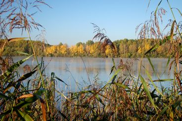 Bild vergrößern: Barleber See